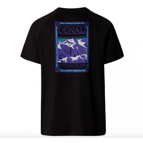  The North Face North Faces Ανδρικό T-Shirt (Μαύρο) 